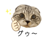 vivipopoすたんぷ