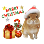 かわいいイベントうさんぷ