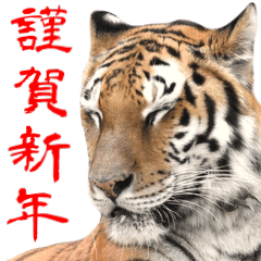 Bigなトラの寅年スタンプ 22年 年末年始 Line無料スタンプ 隠しスタンプ 人気スタンプ クチコミサイト スタンプバンク