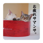 みやこねこスタンプ②