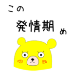 ともだちは毒舌の黄熊