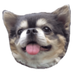 ラズおじさんだよ Vol.2