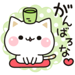 気づかいのできるネコ♪関西弁編