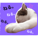 ろーりーにゃーちゃん