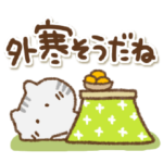 アメショるぅさんの受け答え