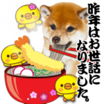 動く！犬 正月＆クリスマス＆よく使う言葉