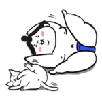 土俵際だよ！ゆるい関 うぃず猫