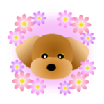 かわいい♪トイプードル