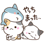 ５匹のちび猫とちびサメ