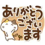 三毛猫にゃん助の気遣い