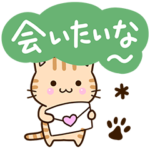 おちゃめなトラネコ