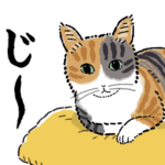 猫の菊ちゃんスタンプ２