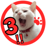 ねこ印3 仕事にも使えるヴァージョン♪