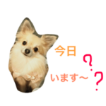 ちいちい・みいみい・るうるうPart2