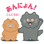  リキッドキャットのTIKIとTAKA