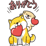  でかっ！しばんばん×ポインコの日常