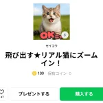  飛び出す★リアル猫にズームイン！、まとめ