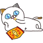  動く！冬のタマ川ヨシ子（猫）第35弾