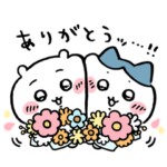  ちいかわ×ポインコ