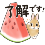  うさぎさん × LINEポケットマネー